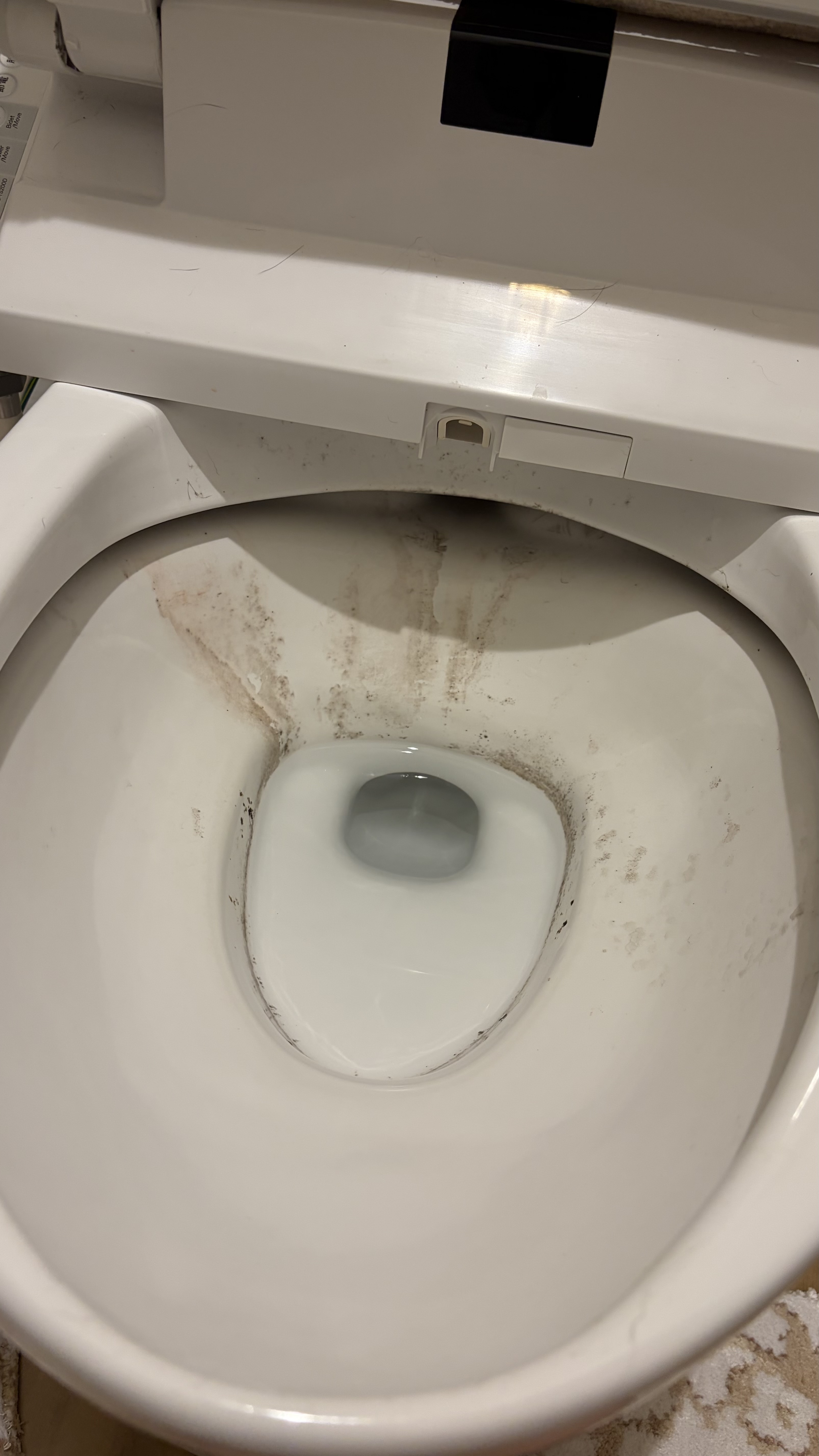 清掃前のトイレ